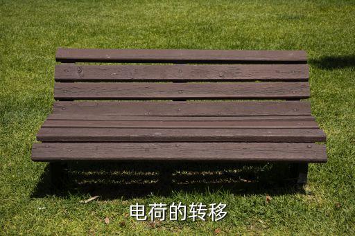 電荷轉(zhuǎn)移，什么情況下會(huì)發(fā)生電荷轉(zhuǎn)移電荷轉(zhuǎn)移的動(dòng)