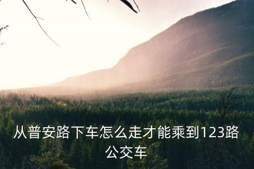 從普安路下車怎么走才能乘到123路公交車