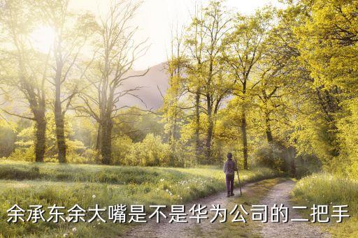 余承東余大嘴是不是華為公司的二把手