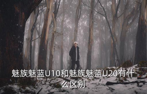 魅族魅藍U10和魅族魅藍U20有什么區(qū)別
