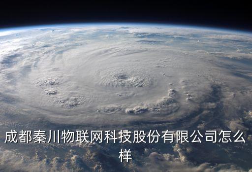 成都秦川物聯(lián)網(wǎng)科技股份有限公司怎么樣