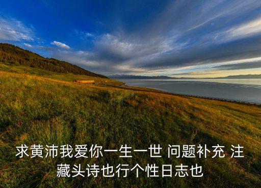 求黃沛我愛你一生一世 問題補(bǔ)充 注藏頭詩(shī)也行個(gè)性日志也