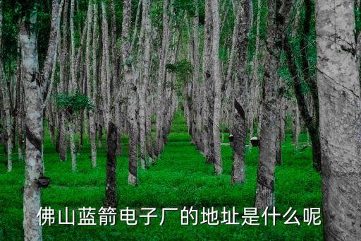 藍箭電子，藍箭電子廠是做什么的