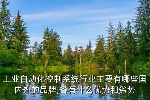工業(yè)自動(dòng)化控制系統(tǒng)行業(yè)主要有哪些國(guó)內(nèi)外的品牌,各有什么優(yōu)勢(shì)和劣勢(shì)
