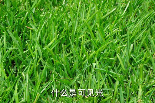 可見光，什么是可見光