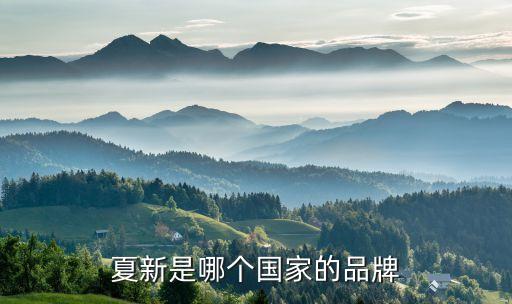 夏新洗衣機(jī)，國(guó)產(chǎn)機(jī)夏新好用嗎有什么功能