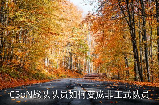 cson，CSoN戰(zhàn)隊(duì)隊(duì)員如何變成非正式隊(duì)員