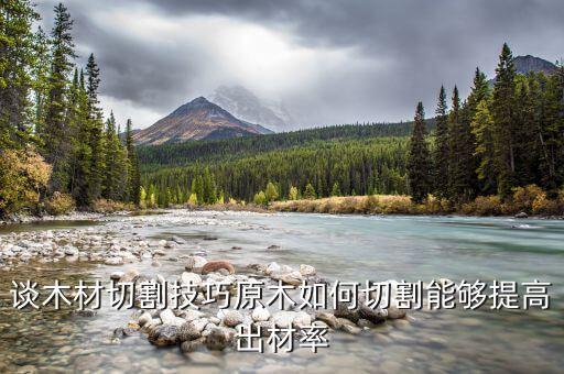 談木材切割技巧原木如何切割能夠提高出材率