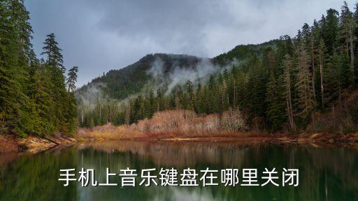 音樂鍵盤，手機上音樂鍵盤在哪里關閉
