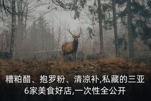 糟粕醋、抱羅粉、清涼補,私藏的三亞6家美食好店,一次性全公開