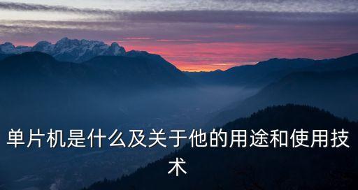 單片機是什么及關(guān)于他的用途和使用技術(shù)