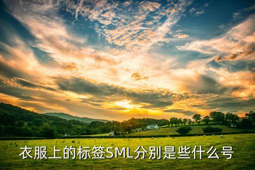 衣服上的標簽SML分別是些什么號