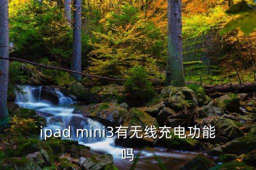 ipad mini3有無(wú)線(xiàn)充電功能嗎