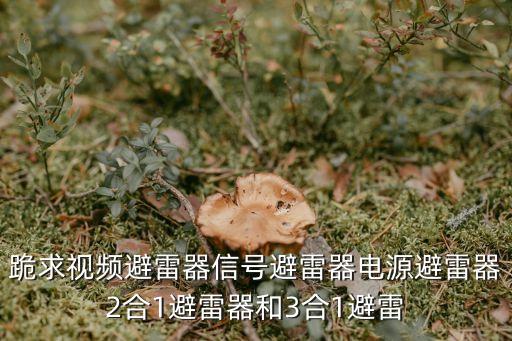 跪求視頻避雷器信號避雷器電源避雷器2合1避雷器和3合1避雷