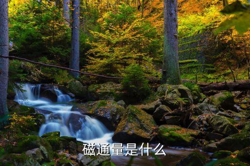 磁通量是什么
