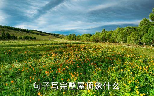 句子寫完整屋頂象什么