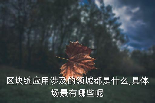 區(qū)塊鏈應(yīng)用涉及的領(lǐng)域都是什么,具體場(chǎng)景有哪些呢