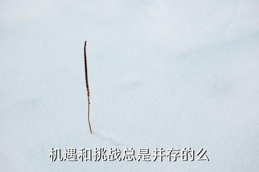 挑戰(zhàn)與機遇并存，機遇和挑戰(zhàn)總是并存的么