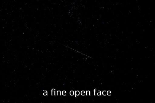 openface，我想問一下Openface這個(gè)單詞翻漢語是什么意思
