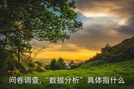 問卷調(diào)查,“數(shù)據(jù)分析”具體指什么