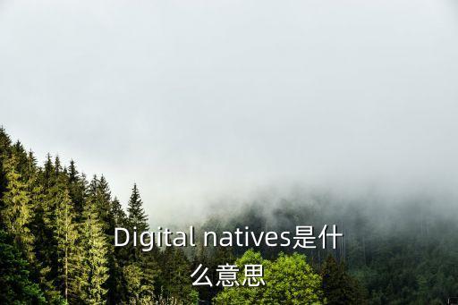 Digital natives是什么意思