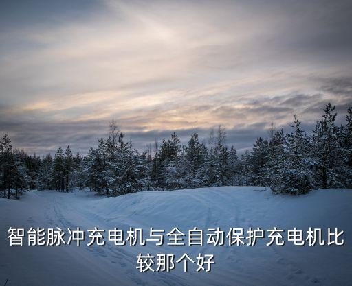 智能充電機(jī)，智能脈沖充電機(jī)與全自動(dòng)保護(hù)充電機(jī)比較那個(gè)好