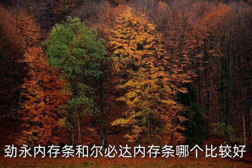 勁永內(nèi)存條和爾必達(dá)內(nèi)存條哪個比較好