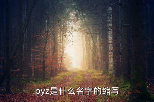 pyz是什么名字的縮寫