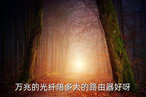 萬(wàn)兆的光纖陪多大的路由器好呀