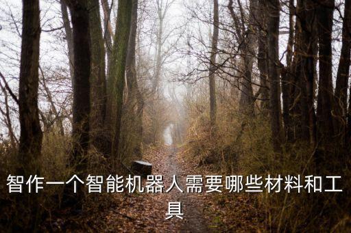 智作一個智能機(jī)器人需要哪些材料和工具