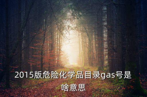 2015版危險化學(xué)品目錄gas號是啥意思