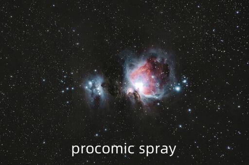 proco，proco是什么意思貌似是意大利語