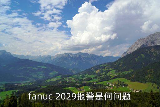 fanuc 2029報警是何問題