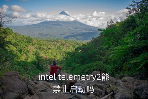 intel telemetry2能禁止啟動嗎