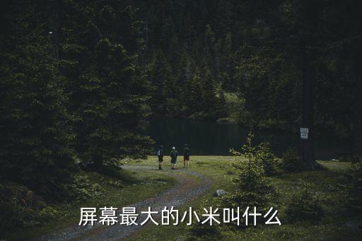 屏幕最大的小米叫什么