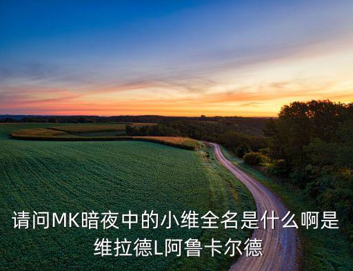 請問MK暗夜中的小維全名是什么啊是 維拉德L阿魯卡爾德