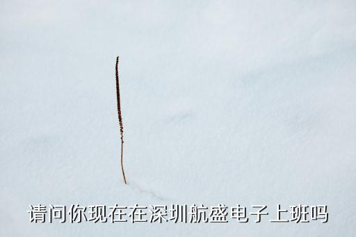 航盛電子，請問你現(xiàn)在在深圳航盛電子上班嗎