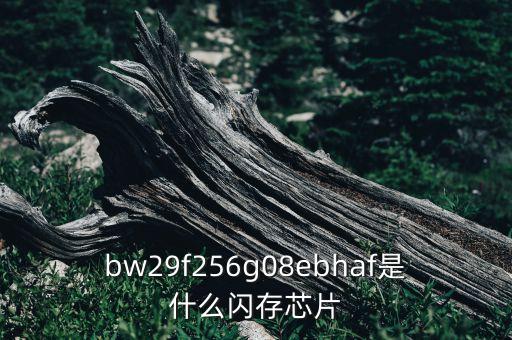 bw29f256g08ebhaf是什么閃存芯片