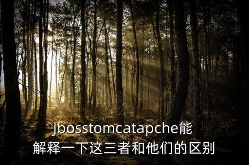 jbosstomcatapche能解釋一下這三者和他們的區(qū)別