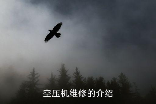 空壓機(jī)維修的介紹