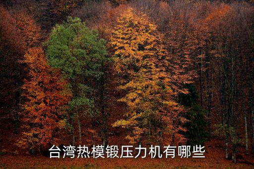臺灣熱模鍛壓力機有哪些