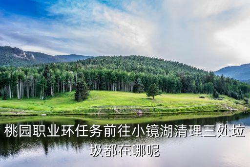 程小雪，桃園職業(yè)環(huán)任務(wù)前往小鏡湖清理三處垃圾都在哪呢