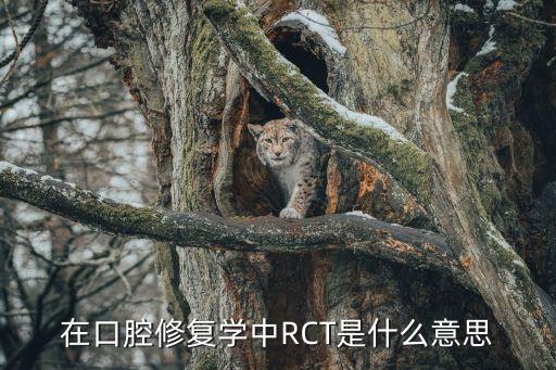 在口腔修復(fù)學中RCT是什么意思