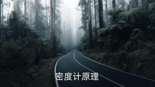 密度計(jì)原理