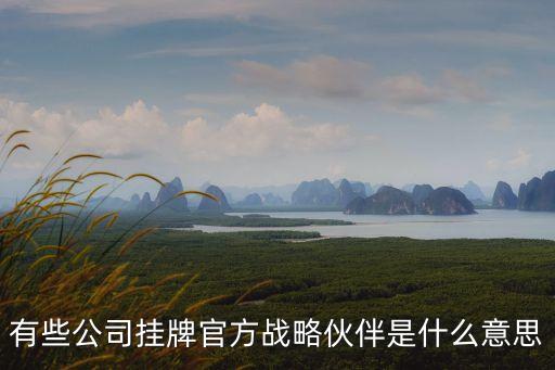 戰(zhàn)略合作伙伴牌匾，有些公司掛牌官方戰(zhàn)略伙伴是什么意思