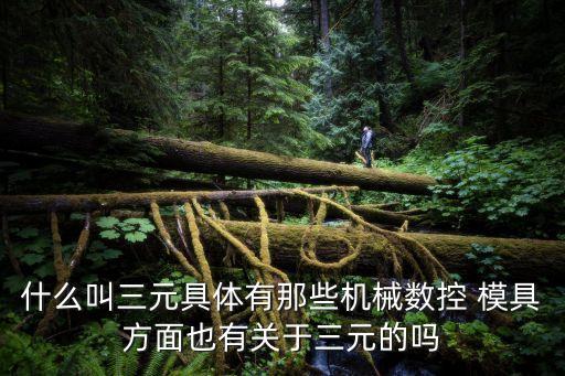 三元是什么，什么叫三元具體有那些機(jī)械數(shù)控 模具方面也有關(guān)于三元的嗎