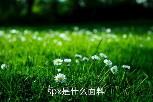 spx是什么面料