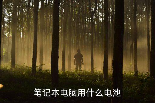 筆記本電腦用什么電池