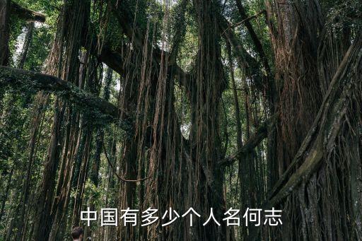 中國有多少個人名何志