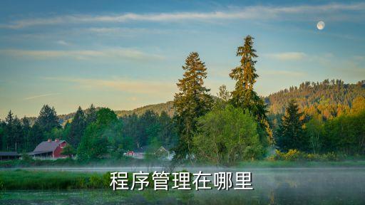 程序管理器，安卓系統(tǒng)進程管理器推薦